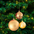 Personalised Festive Christmas Bauble - Various Sizes