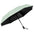Serendipio Sleet Auto-Open Compact Umbrella