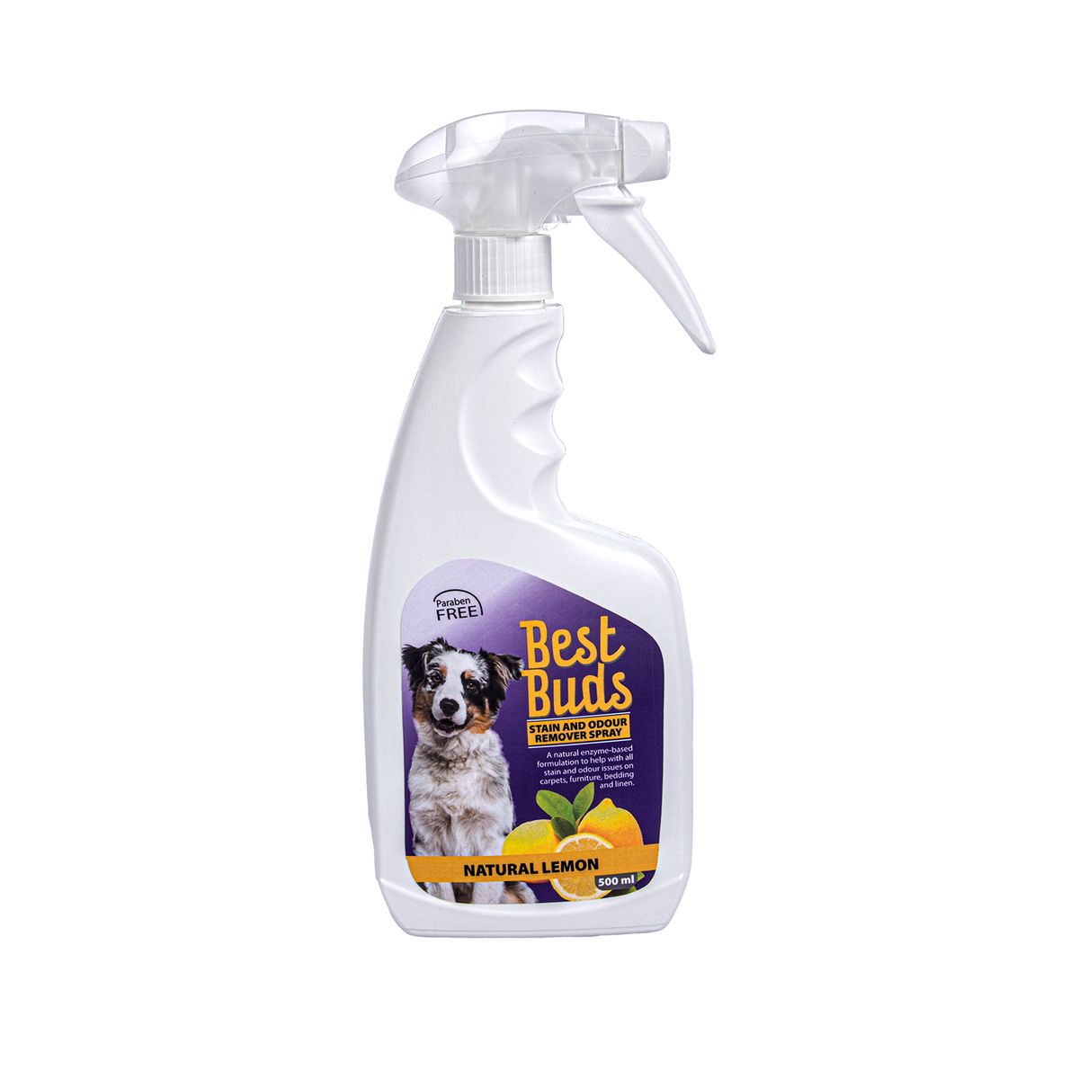 Best Buds Pet Stain & Odour Remover Spray - 500ml - Retail Therapy Online