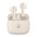 Body Glove Peak ENC TWS Earbuds - Retail Therapy Online