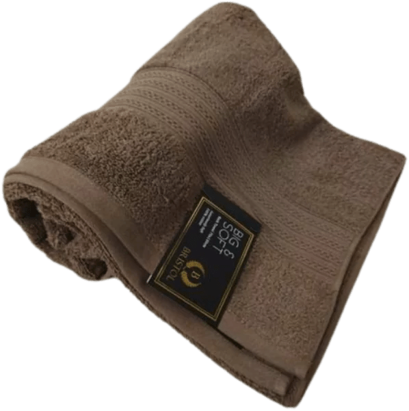 Bristol Big & Soft Towel - 600gsm - Retail Therapy Online