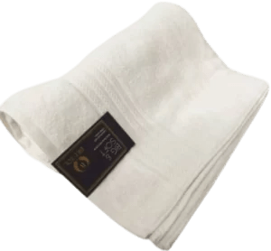 Bristol Big & Soft Towel - 600gsm - Retail Therapy Online