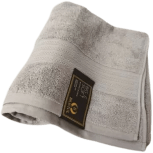 Bristol Big & Soft Towel - 600gsm - Retail Therapy Online