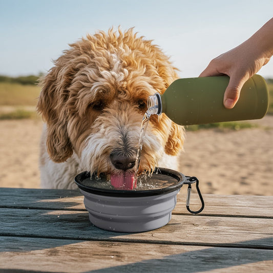 Collapsible Silicone Pet Bowl - Retail Therapy Online