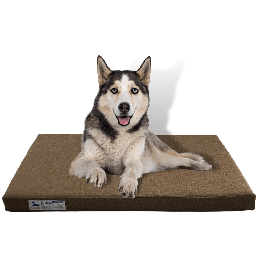 Dog - O - Pedic Gel Memory Foam Orthopedic Mattress - Retail Therapy Online