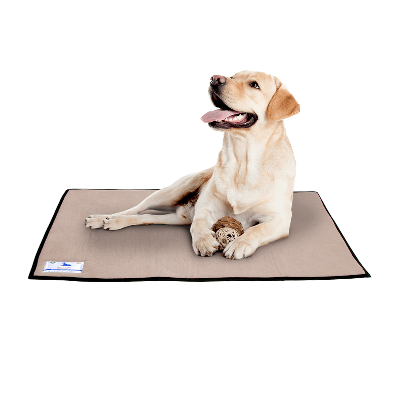 Dog - O - Pedic Memory Foam Day Mat - Retail Therapy Online