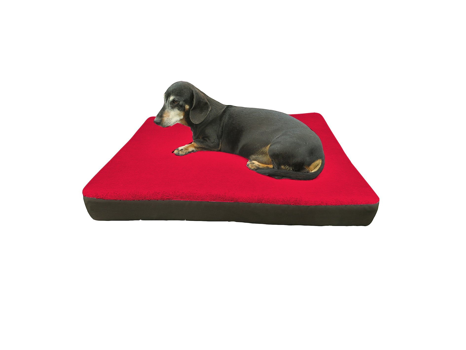 Dog - O - Pedic Memory Foam Orthopedic Mattress - Retail Therapy Online