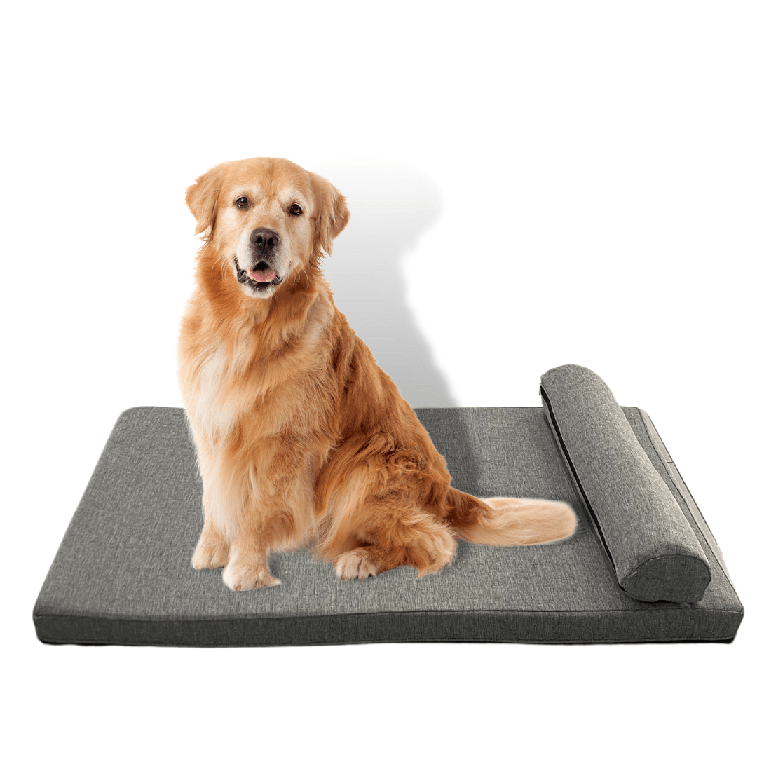 Dog - O - Pedic Pharaoh Gel Memory Foam Mattress - Retail Therapy Online