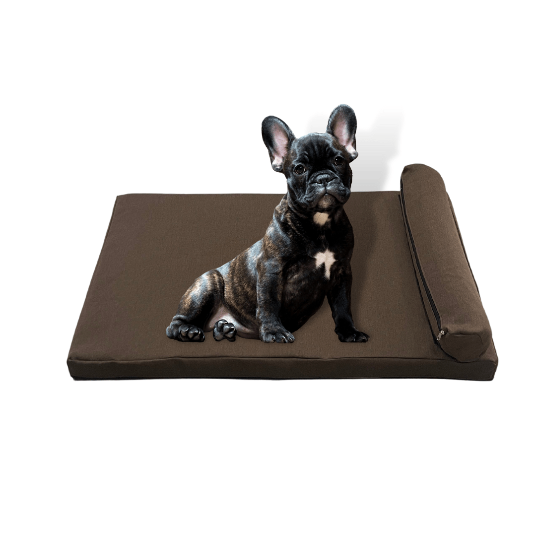 Dog - O - Pedic Pharaoh Gel Memory Foam Mattress - Retail Therapy Online