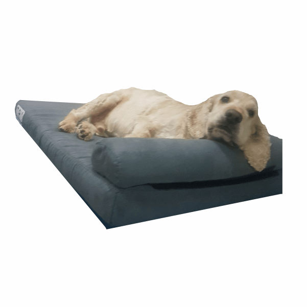 Dog - O - Pedic Pharaoh Memory Foam Mattress - Retail Therapy Online