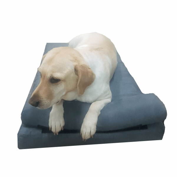 Dog - O - Pedic Pharaoh Memory Foam Mattress - Retail Therapy Online