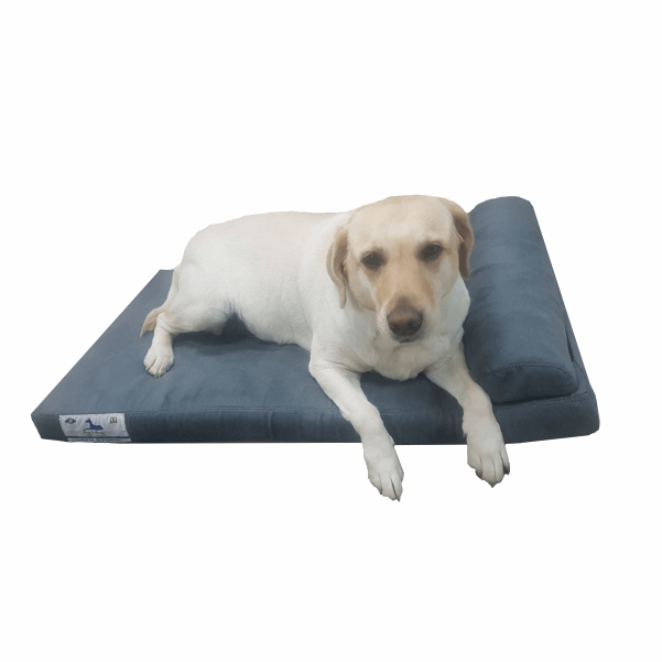 Dog - O - Pedic Pharaoh Memory Foam Mattress - Retail Therapy Online