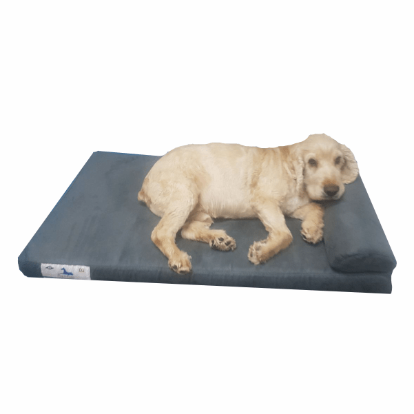 Dog - O - Pedic Pharaoh Memory Foam Mattress - Retail Therapy Online