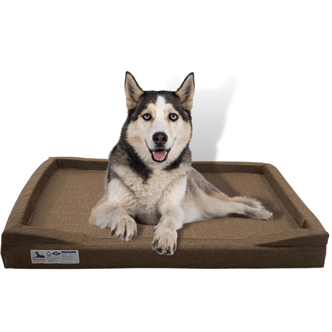 Dog - O - Pedic Throne Gel Memory Foam Orthopedic Mattress - Retail Therapy Online