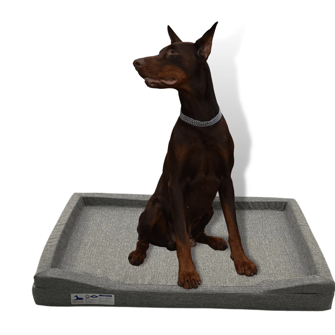 Dog - O - Pedic Throne Gel Memory Foam Orthopedic Mattress - Retail Therapy Online
