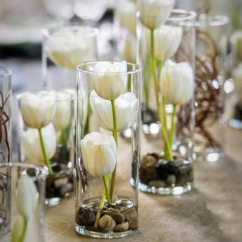 Glass Cylinder Vase - Clear - Retail Therapy Online