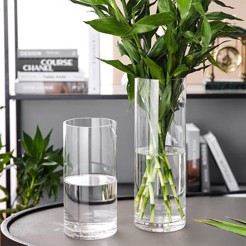 Glass Cylinder Vase - Clear - Retail Therapy Online