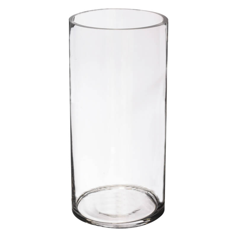 Glass Cylinder Vase - Clear - Retail Therapy Online