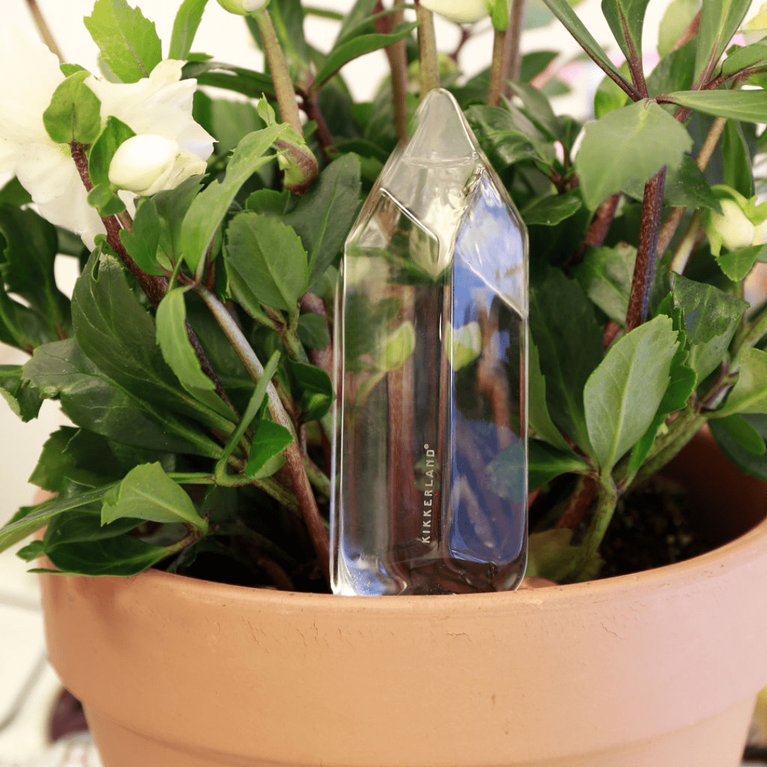 Kikkerland Water Plants From A Crystal - Retail Therapy Online