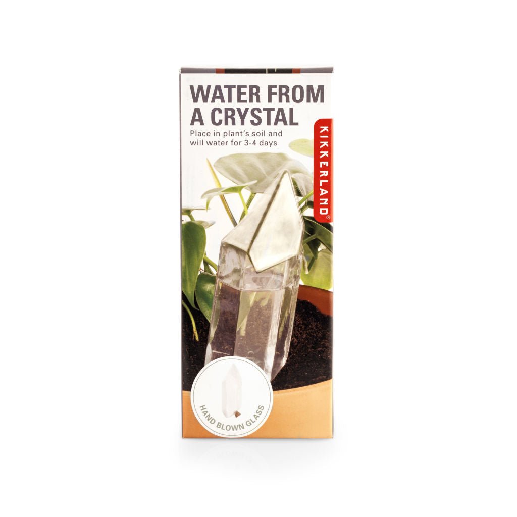 Kikkerland Water Plants From A Crystal - Retail Therapy Online