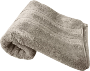 Nortex Royal Plush Towel - 710gsm - Retail Therapy Online