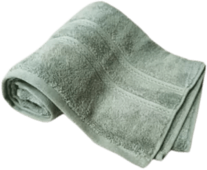 Nortex Royal Plush Towel - 710gsm - Retail Therapy Online