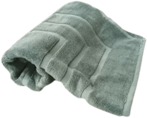 Nortex Royal Plush Towel - 710gsm - Retail Therapy Online