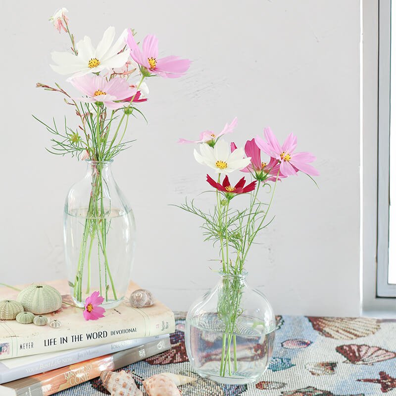 Organic Glass Mini Posy Vase - Retail Therapy Online