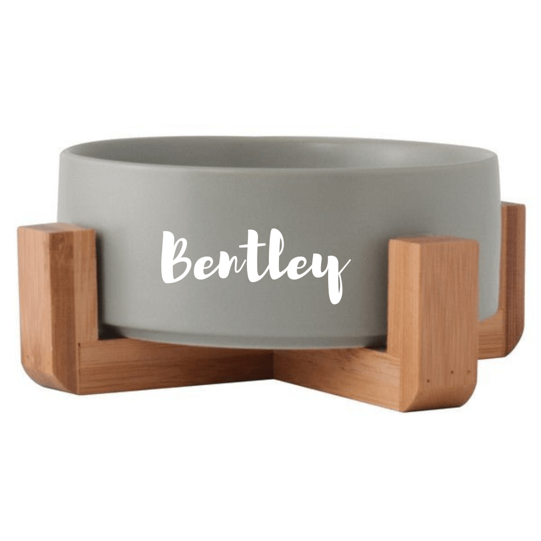 Pet Bowl & Stand - Single - Retail Therapy Online