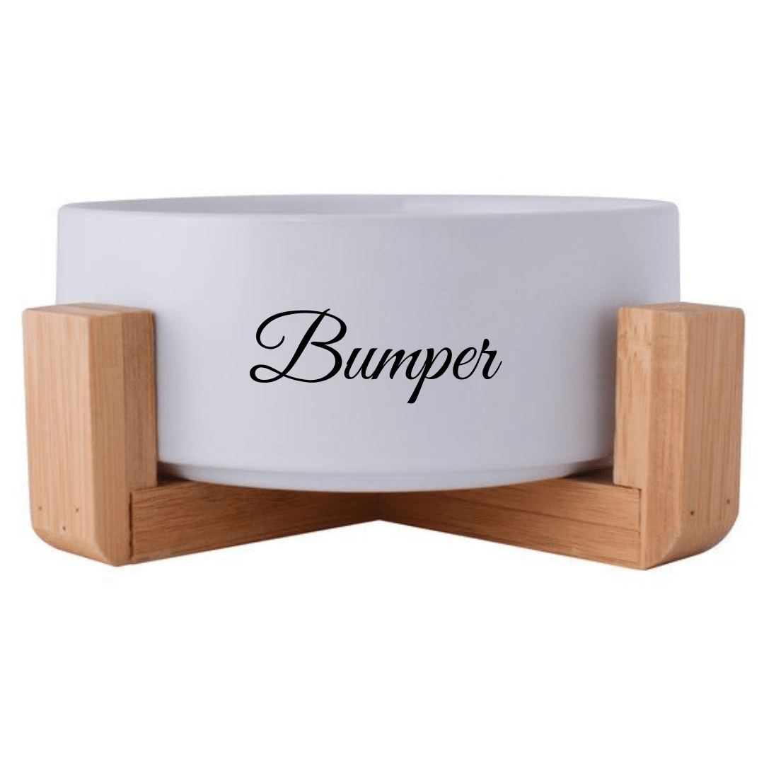 Pet Bowl & Stand - Single - Retail Therapy Online