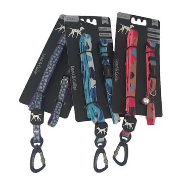 Pet Lead & Collar Set - Small - Retail Therapy Online