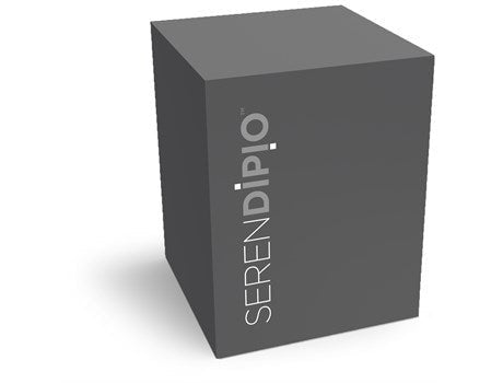 Serendipio Sheridan Vacuum Cup - 300ml - Retail Therapy Online