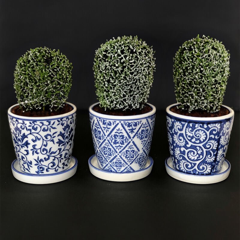 Small Ceramic Planter with Tray - 11cm - Retail Therapy Online