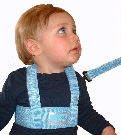 Toddler Safety Harness - Retail Therapy Online