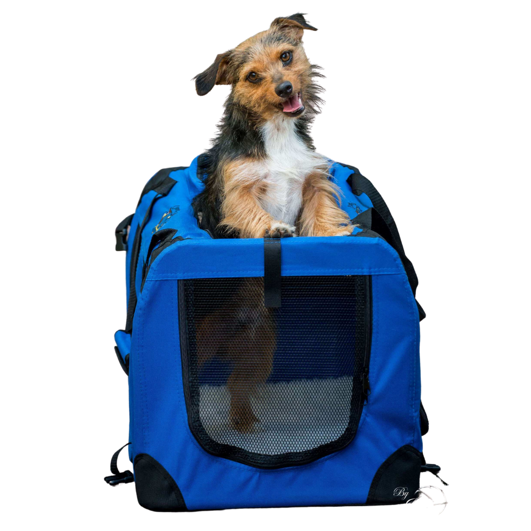 Collapsible Pet Carrier Crates1