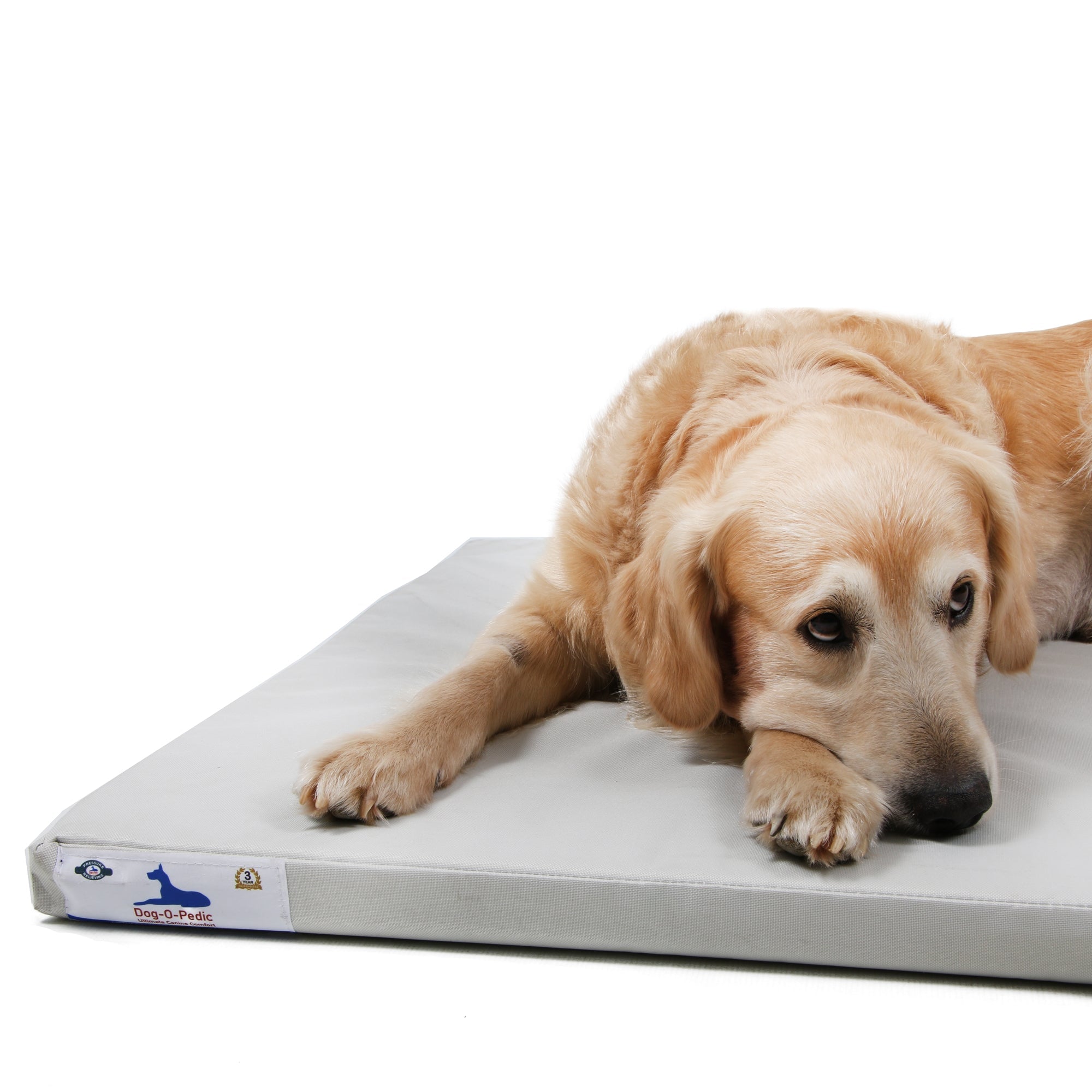 Dog - O - Pedic Orthopedic Memory Foam Snoozer Mattress - Retail Therapy Online